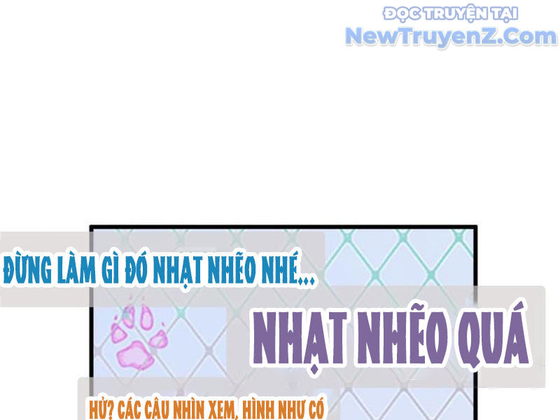 Kế Hoạch Bồi Dưỡng Nữ MC Của Cẩu Hoàng chapter 2 - Trang 17