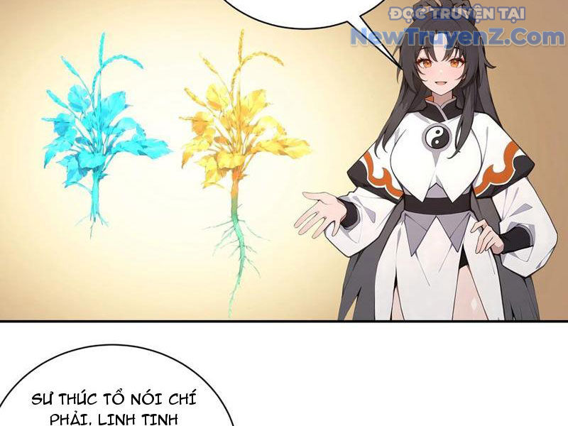 Bách Thê Phổ: Thánh nữ đều gọi ta là phu quân chapter 55 - Trang 32