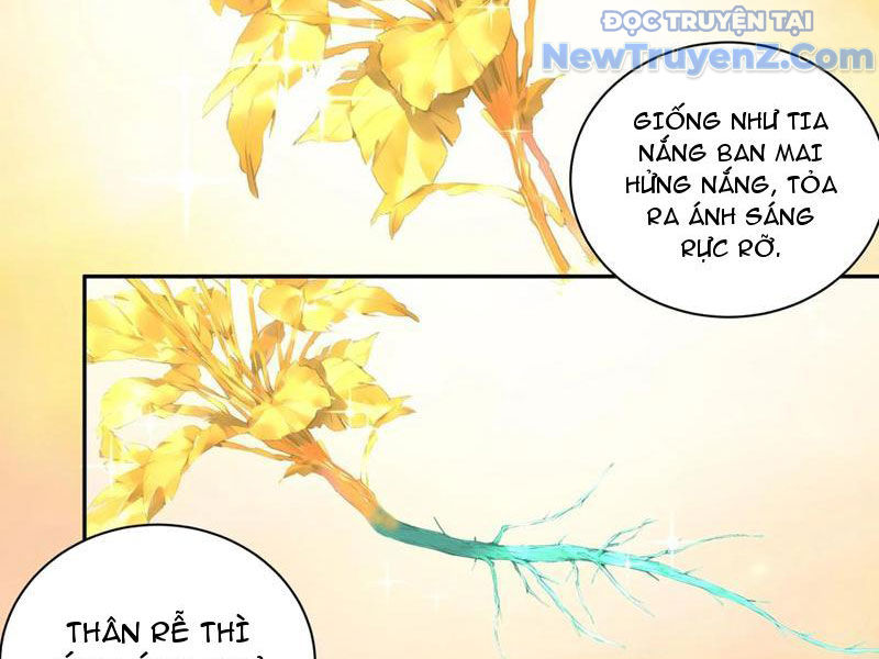 Bách Thê Phổ: Thánh nữ đều gọi ta là phu quân chapter 55 - Trang 18