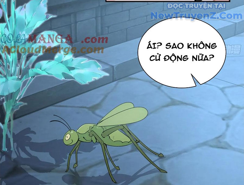 Bách Thê Phổ: Thánh nữ đều gọi ta là phu quân chapter 52 - Trang 51