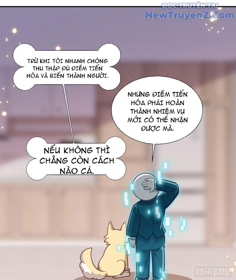 Kế Hoạch Bồi Dưỡng Nữ MC Của Cẩu Hoàng chapter 5 - Trang 30