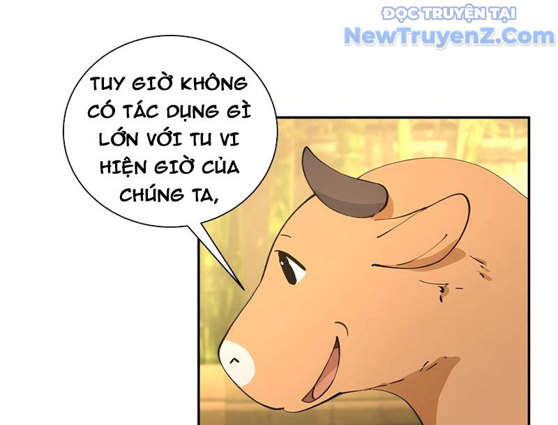Bách Thê Phổ: Thánh nữ đều gọi ta là phu quân chapter 52 - Trang 92