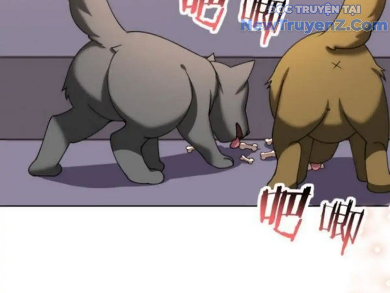 Kế Hoạch Bồi Dưỡng Nữ MC Của Cẩu Hoàng chapter 14 - Trang 178