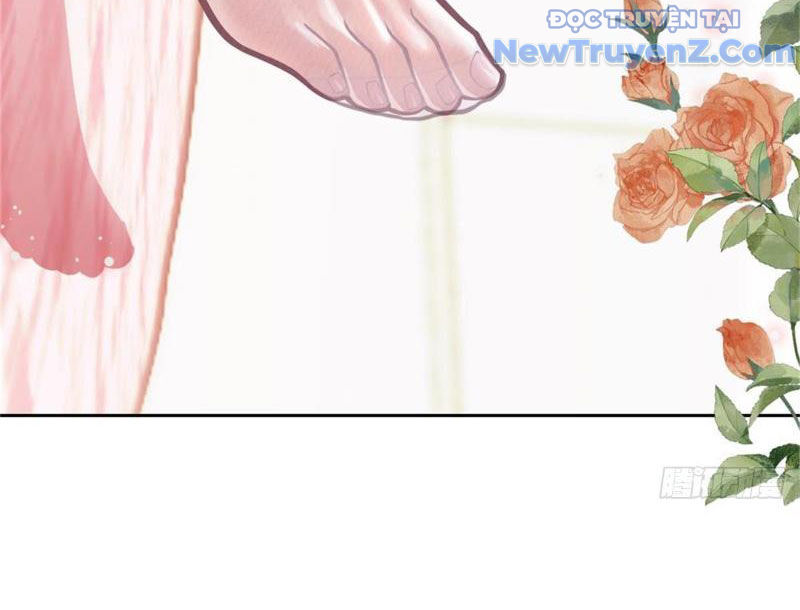 Kế Hoạch Bồi Dưỡng Nữ MC Của Cẩu Hoàng chapter 3 - Trang 40