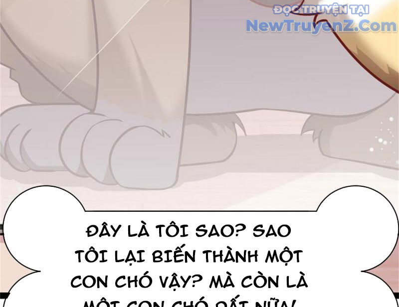 Kế Hoạch Bồi Dưỡng Nữ MC Của Cẩu Hoàng chapter 1 - Trang 36