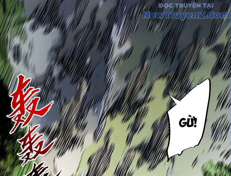 Cấm Chú Sư Mạnh Nhất Lịch Sử chapter 3 - Trang 11