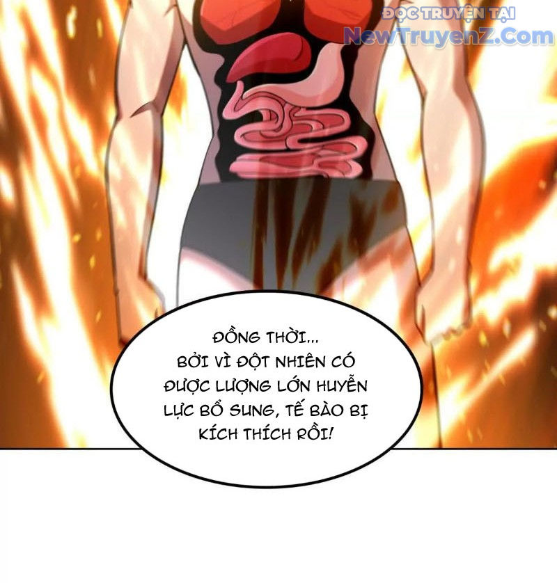 Huyễn Thú Của Ta Có Thể Tiến Hoá Vô Hạn chapter 29 - Trang 65