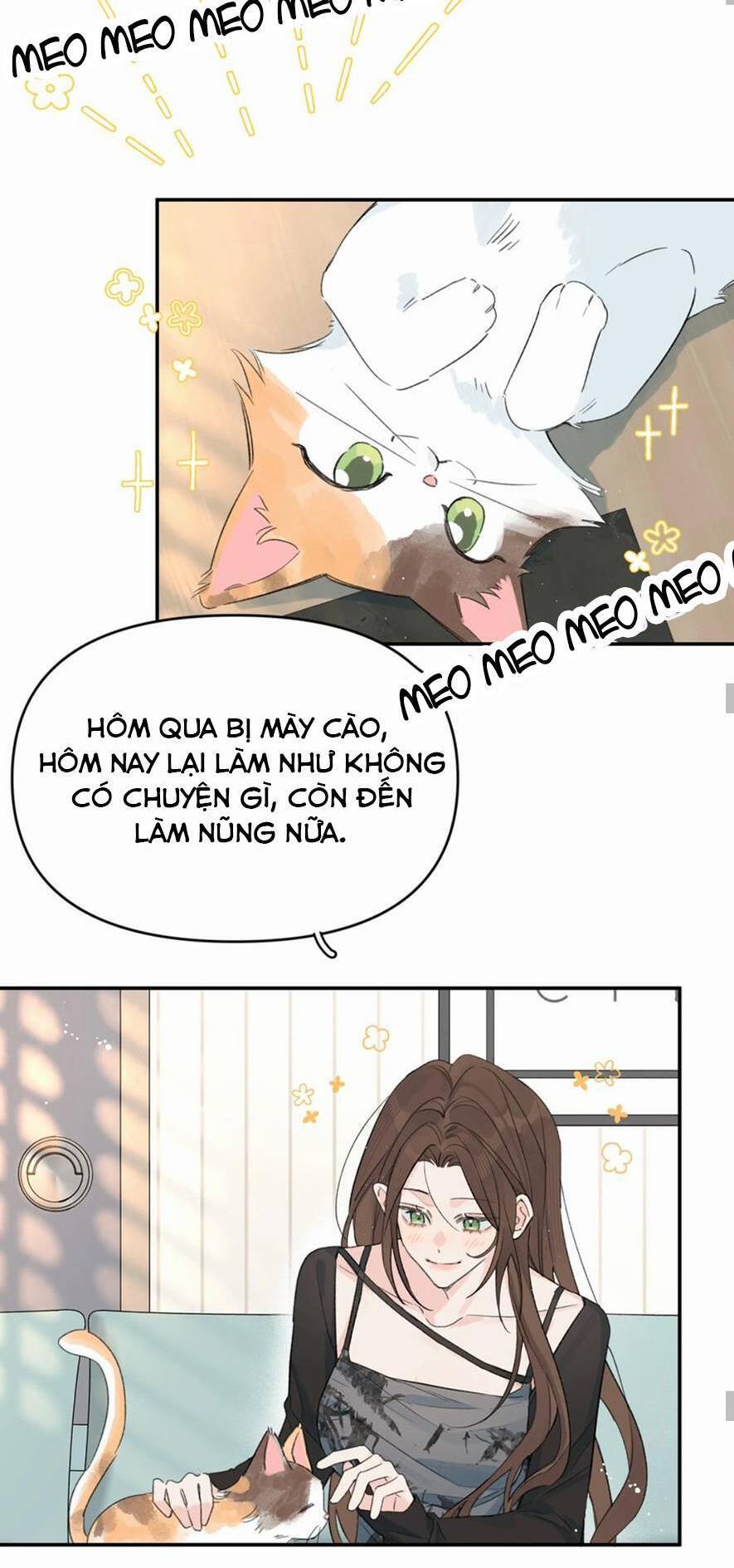 Hôm Nay Anh Có Lộ Bí Mật Chưa? Chapter 26 - Trang 17