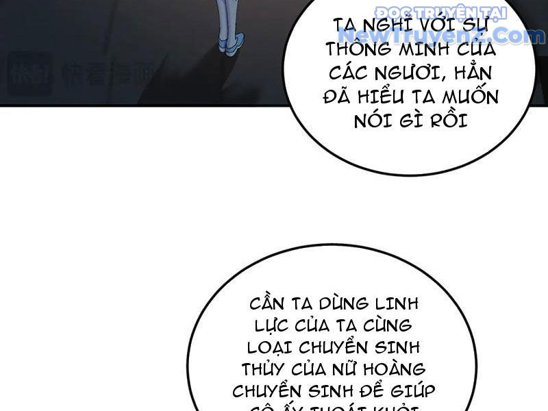Hóa Ra Các Cô Ấy Mới Là Nhân Vật Chính chapter 81 - Trang 26