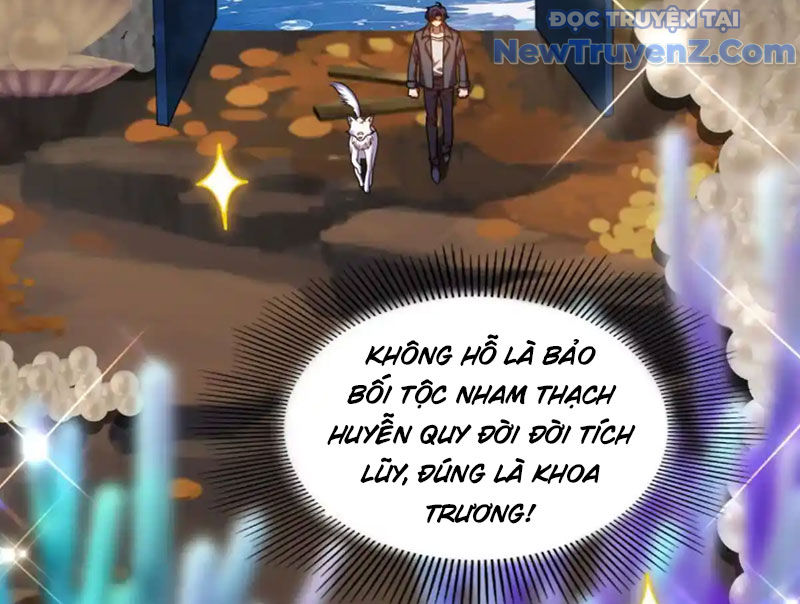 Huyễn Thú Của Ta Có Thể Tiến Hoá Vô Hạn chapter 31 - Trang 99