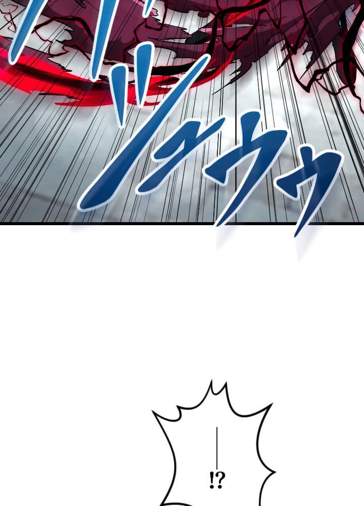 Vô Song Cùng Với Vũ Khí Ẩn chapter 48 - Trang 104