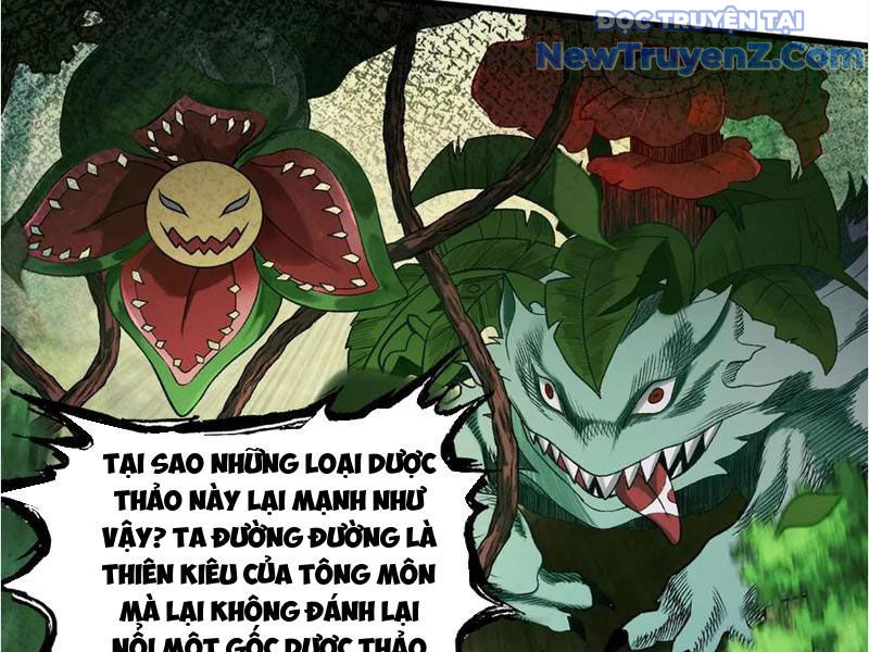 Gặp mạnh thì càng mạnh, tu vi của ta không giới hạn chapter 45 - Trang 8