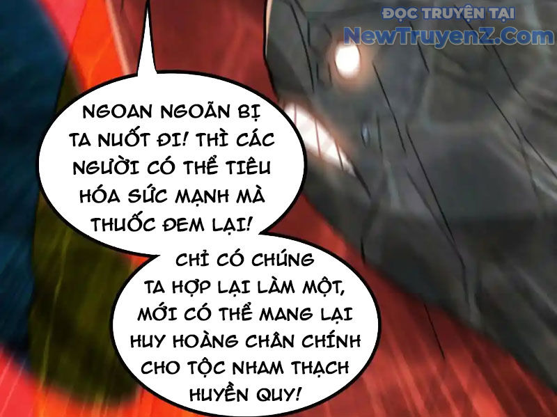 Huyễn Thú Của Ta Có Thể Tiến Hoá Vô Hạn chapter 31 - Trang 14