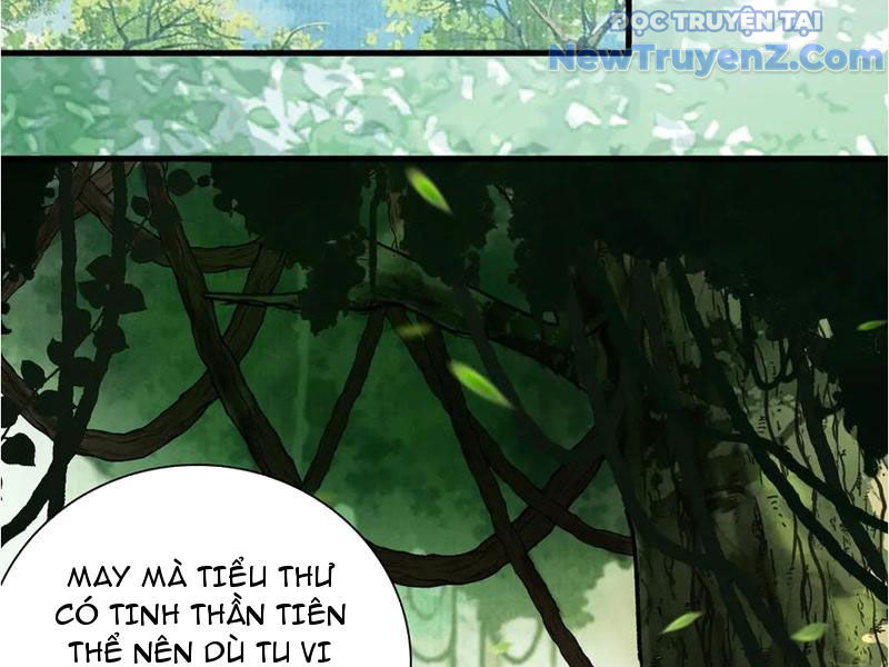 Gặp mạnh thì càng mạnh, tu vi của ta không giới hạn chapter 45 - Trang 66