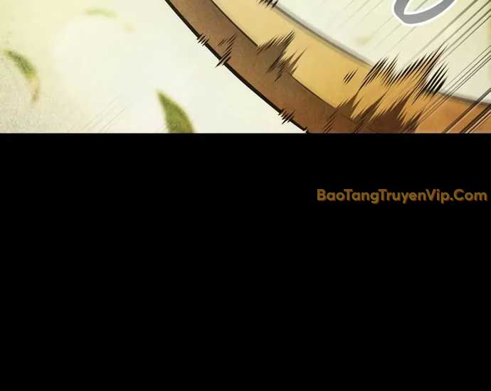 Mạo Hiểm Giả Cuối Cùng chapter 70 - Trang 19