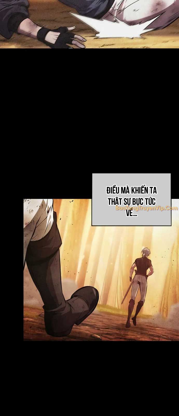 Mạo Hiểm Giả Cuối Cùng chapter 70 - Trang 27