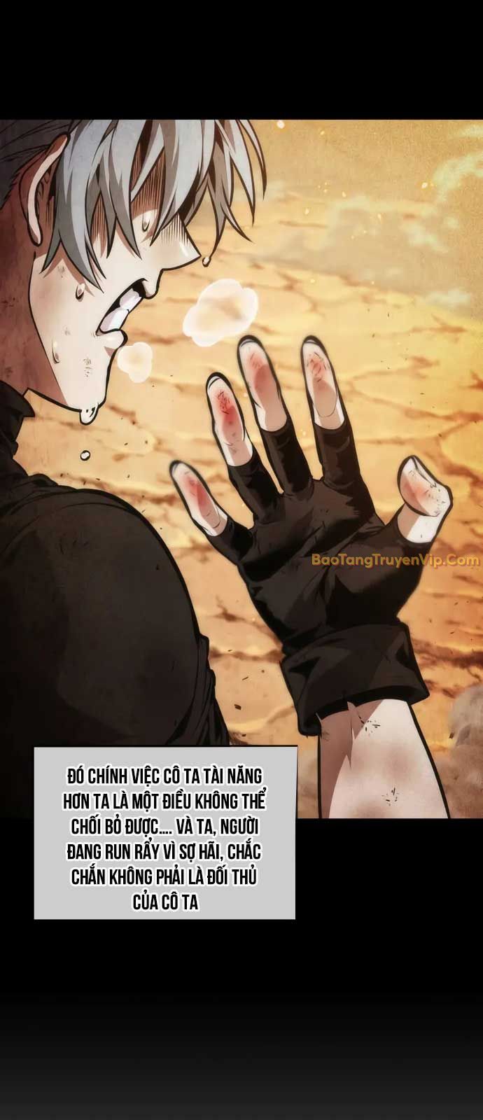 Mạo Hiểm Giả Cuối Cùng chapter 70 - Trang 28