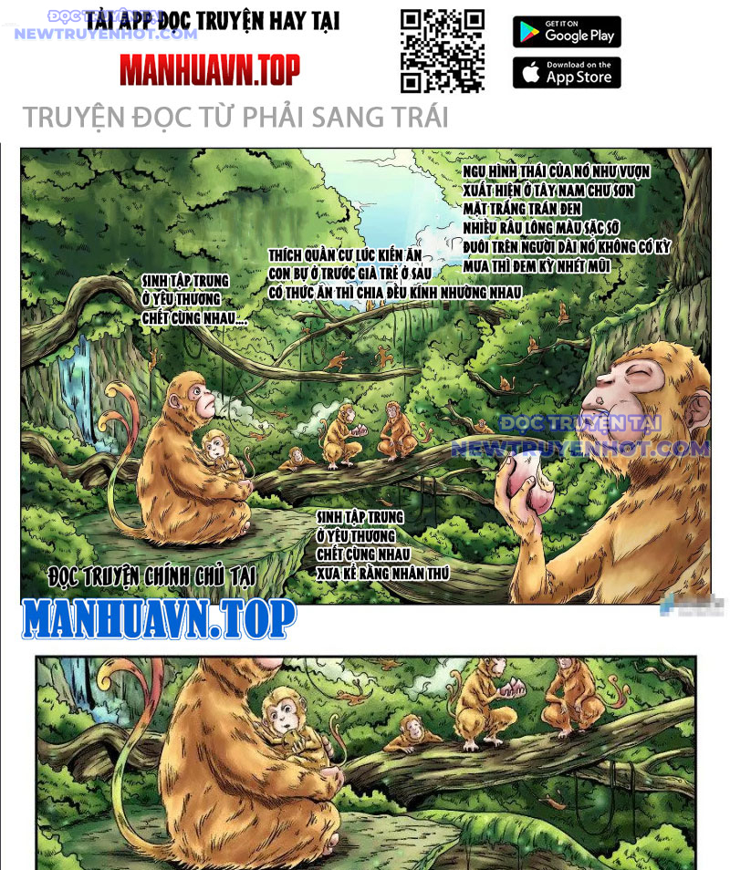 Đan Ngu Huyền Ngôn chapter 1 - Trang 3