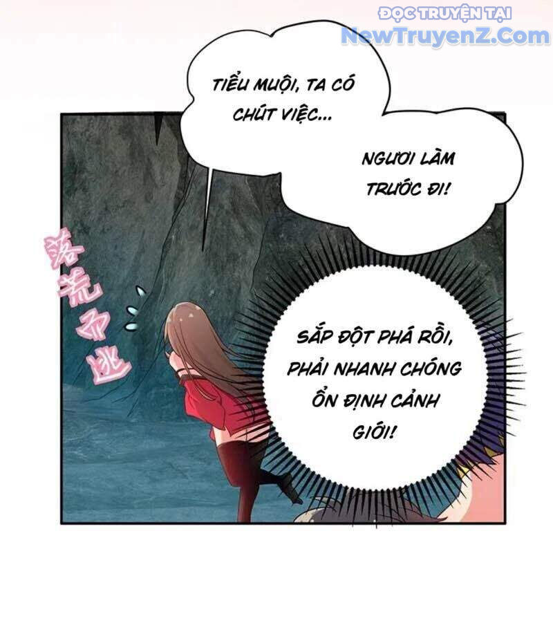 Toàn Bộ Tu Chân Giới Muội Tử Muốn Bắt Ta chapter 2 - Trang 17