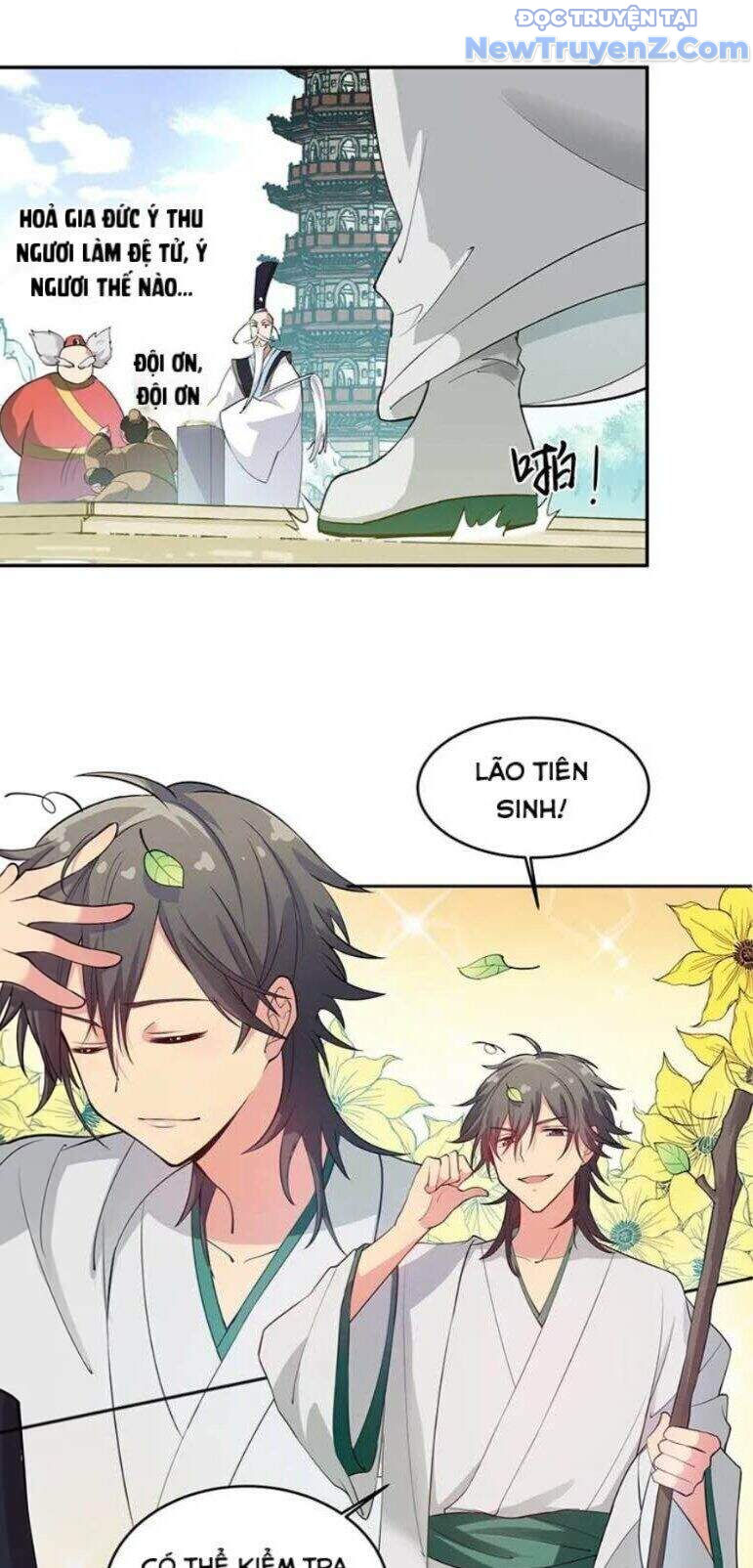 Toàn Bộ Tu Chân Giới Muội Tử Muốn Bắt Ta chapter 1 - Trang 12