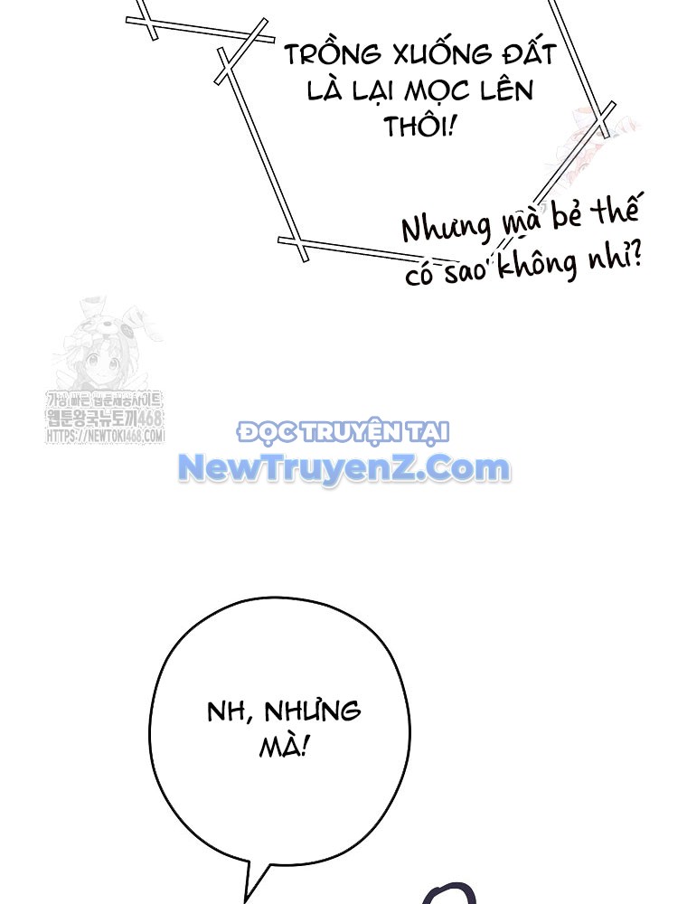 Tái Thiết Hầm Ngục chapter 248 - Trang 15