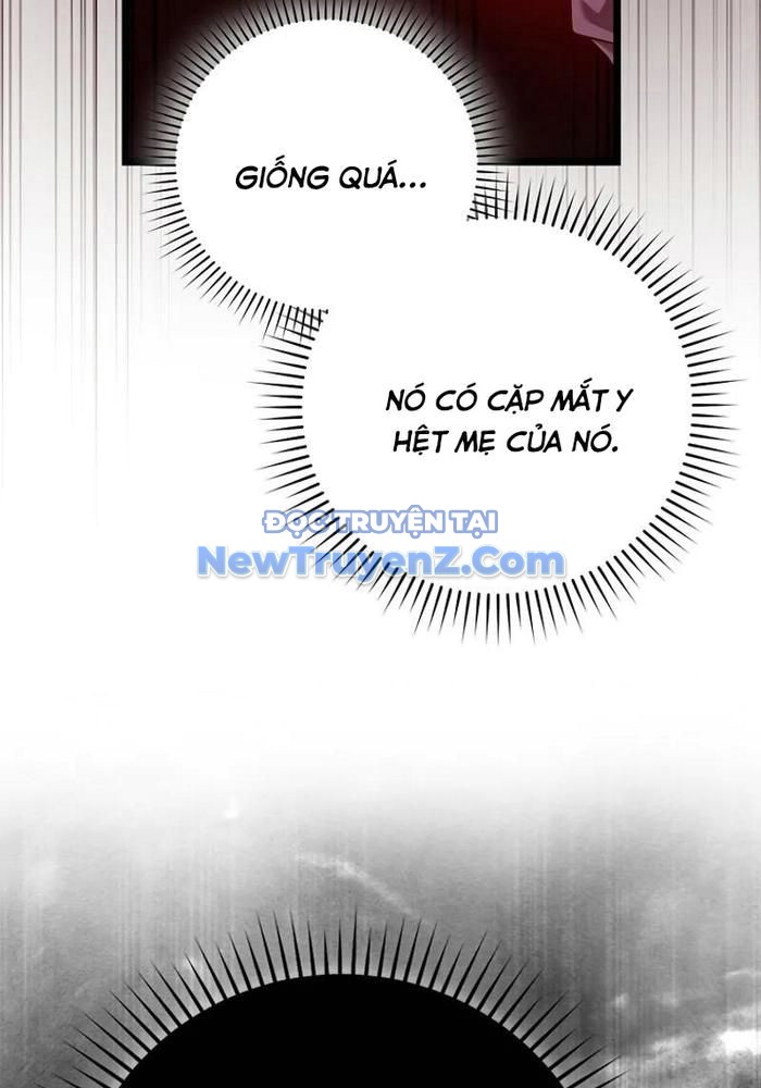 Thiên Tài Võ Thuật Hồi Quy chapter 91 - Trang 25