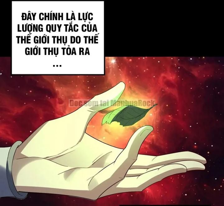Ta Trời Sinh Đã Là Nhân Vật Phản Diện Chapter 323 - Trang 30