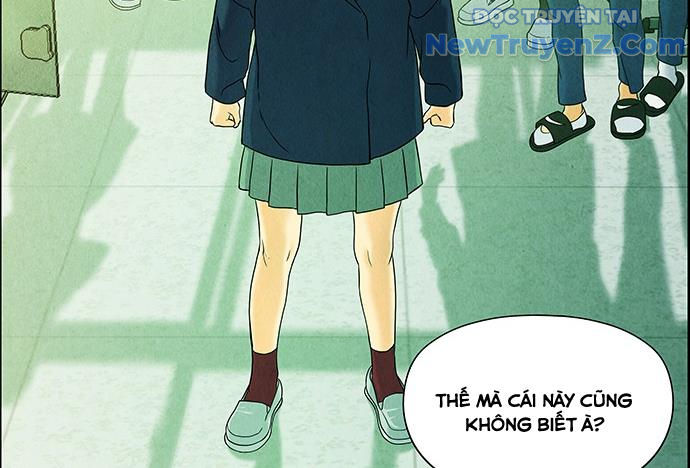Cửa hàng đồ cổ tương lai chapter 22 - Trang 49