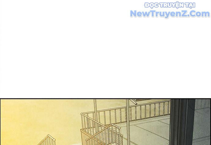 Cửa hàng đồ cổ tương lai chapter 20 - Trang 224
