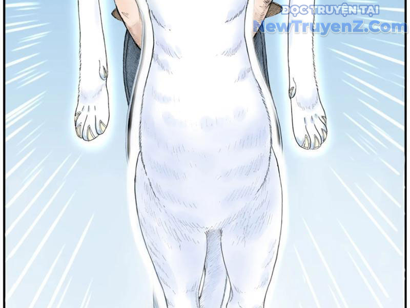 Thiên Hải Nhập Mộng chapter 6 - Trang 13