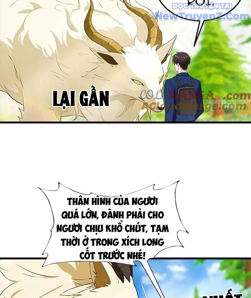 đô Thị Thánh Thủ: Ta Là Y Võ đỉnh Phong chapter 112 - Trang 14