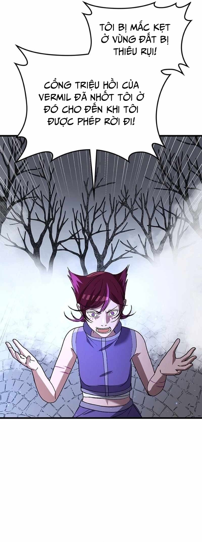 Sự Trở Lại Của Giáo Sư Runebound Chapter 31 - Trang 26
