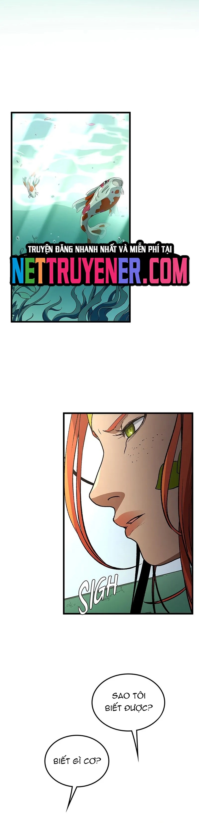 Sự Trở Lại Của Giáo Sư Runebound Chapter 35 - Trang 27