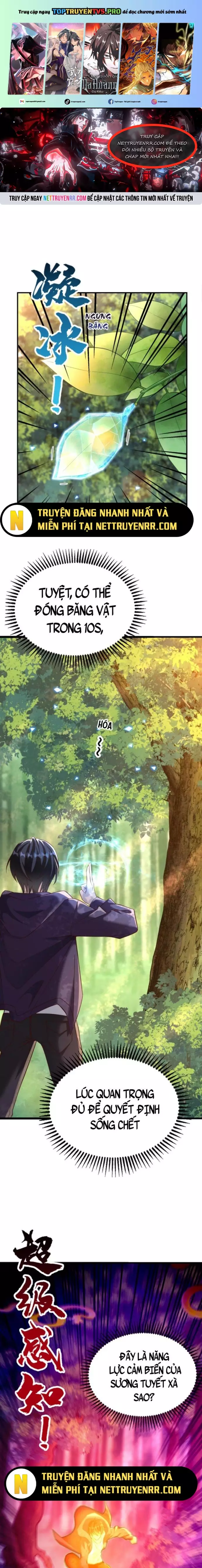 Học Cùng Em Gái, Không Cẩn Thận Trở Thành Vô Địch Chapter 9 - Trang 0