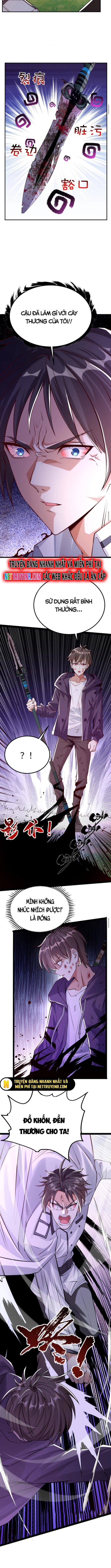 Học Cùng Em Gái, Không Cẩn Thận Trở Thành Vô Địch Chapter 16 - Trang 3