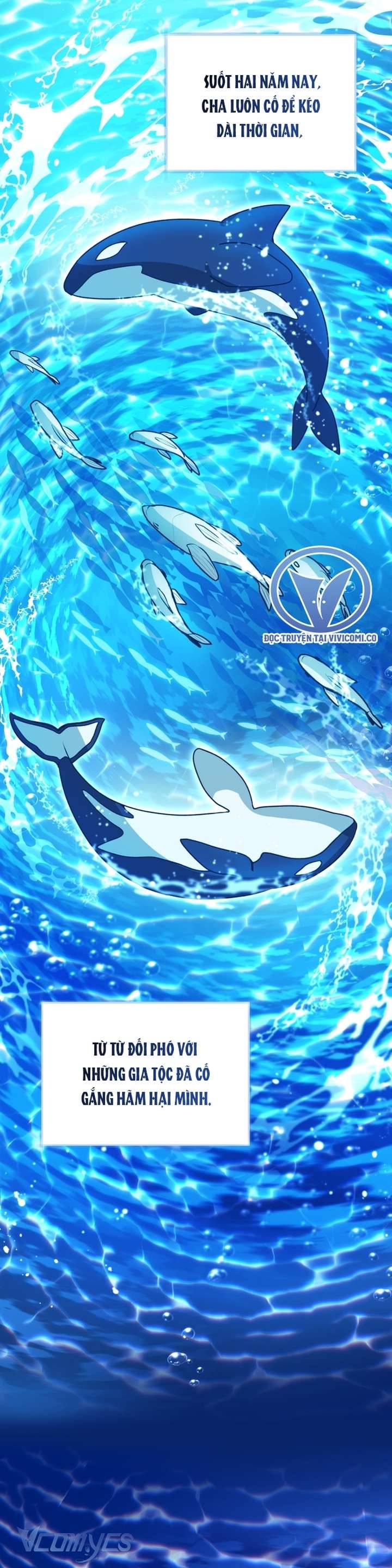 Bé Con Cá Voi Sát Thủ Chapter 53 - Trang 24