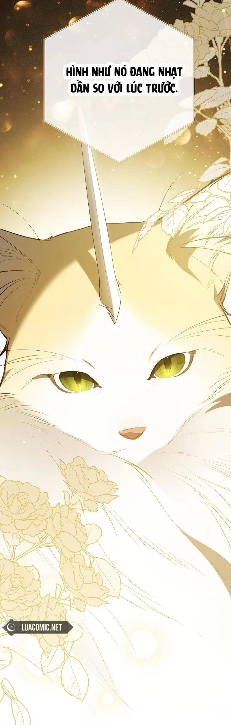 Bạo Chúa Bé Con Chapter 85 - Trang 62
