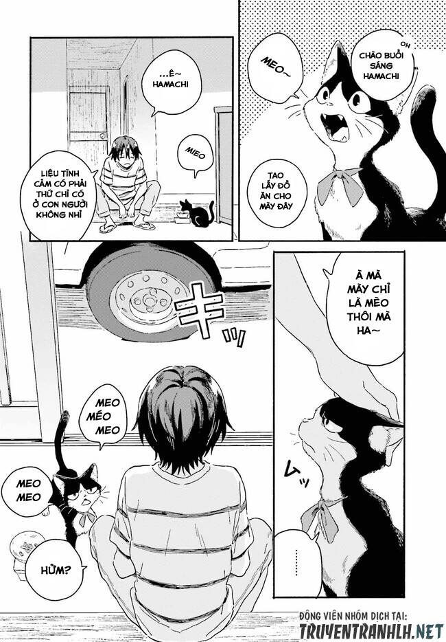 Nàng Hầu Cá Mập Bên Bờ Biển Chapter 3.1 - Trang 8