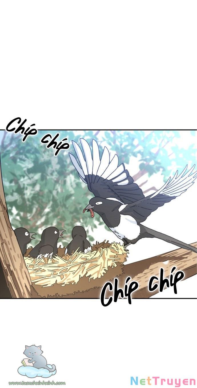 Lớ Ngớ Vớ Phải Tình Yêu Chapter 1 - Trang 2