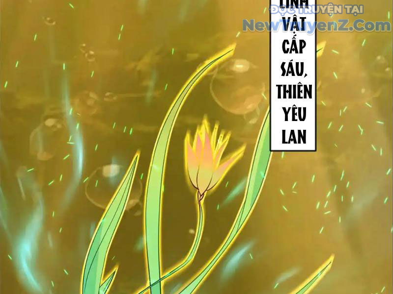 Tân Sủng Mị chapter 74 - Trang 63