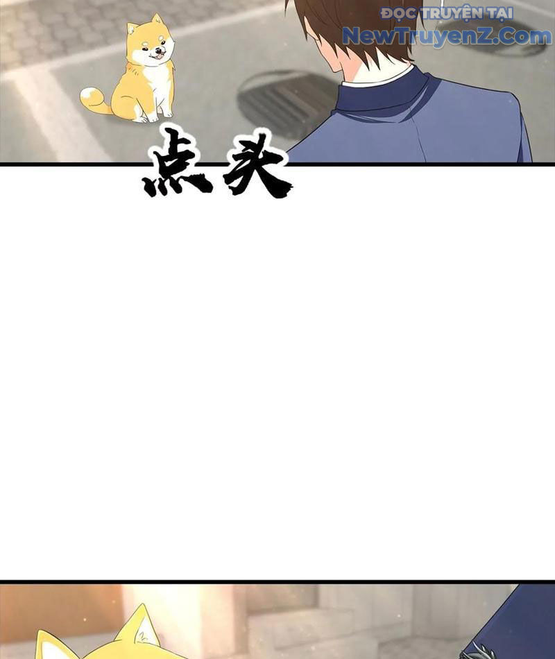 đô Thị Thánh Thủ: Ta Là Y Võ đỉnh Phong chapter 124 - Trang 32