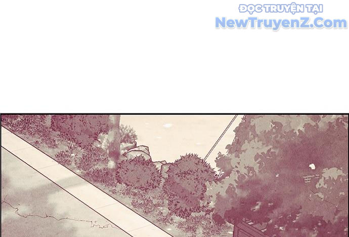 Cửa hàng đồ cổ tương lai chapter 22 - Trang 19