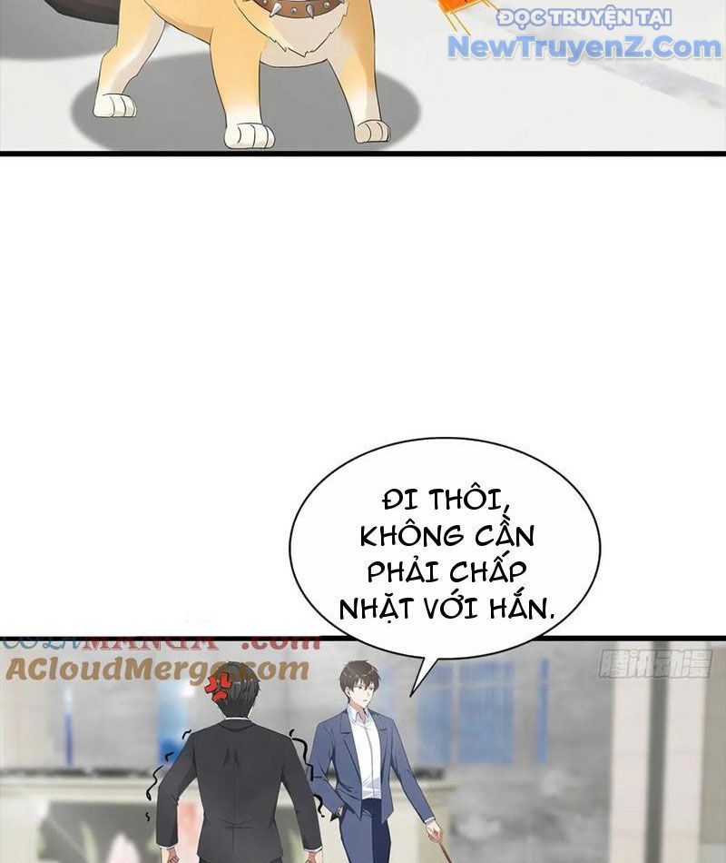 đô Thị Thánh Thủ: Ta Là Y Võ đỉnh Phong chapter 124 - Trang 41