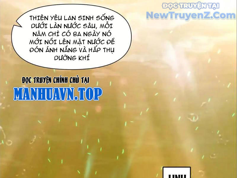 Tân Sủng Mị chapter 74 - Trang 62