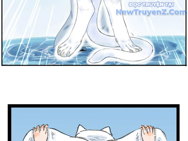 Thiên Hải Nhập Mộng chapter 6 - Trang 14