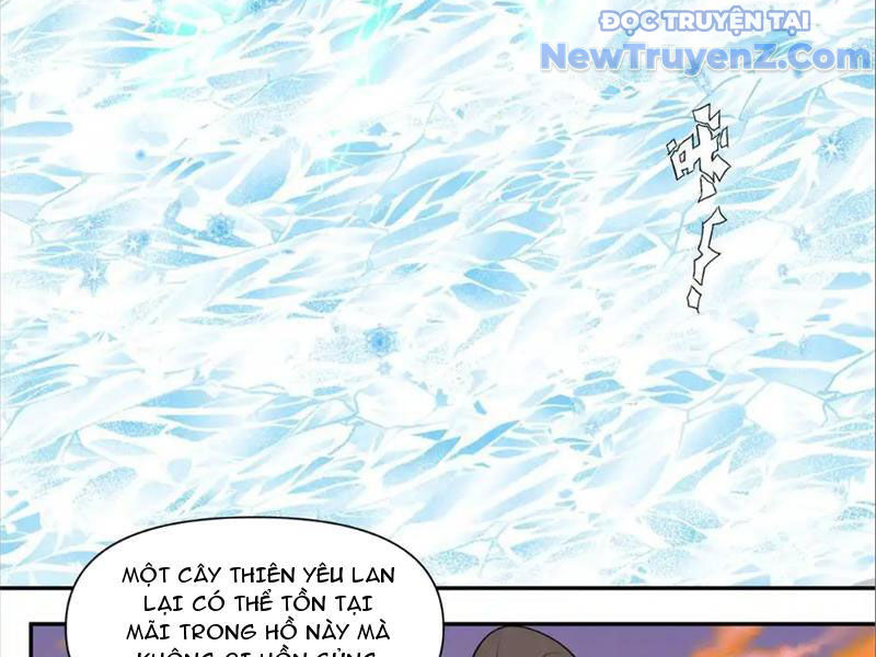 Tân Sủng Mị chapter 74 - Trang 81