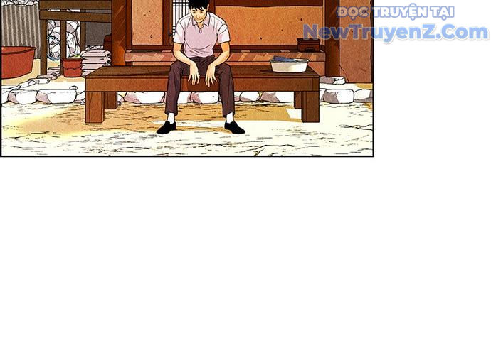 Cửa hàng đồ cổ tương lai chapter 5 - Trang 8