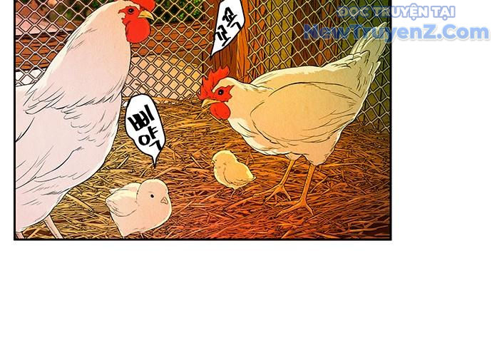 Cửa hàng đồ cổ tương lai chapter 11 - Trang 32