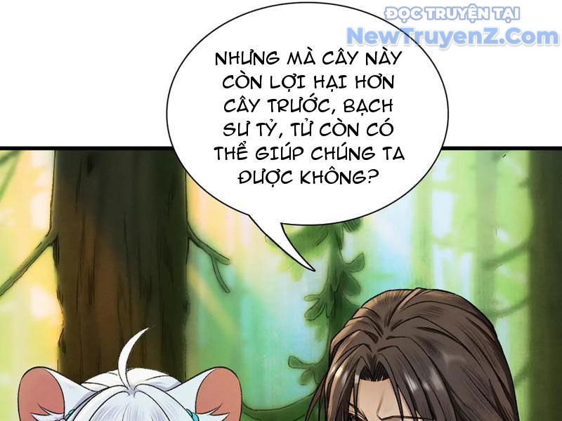 Gặp mạnh thì càng mạnh, tu vi của ta không giới hạn chapter 47 - Trang 88