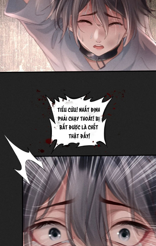 Phượng Minh Tứ Hải chapter 1 - Trang 67
